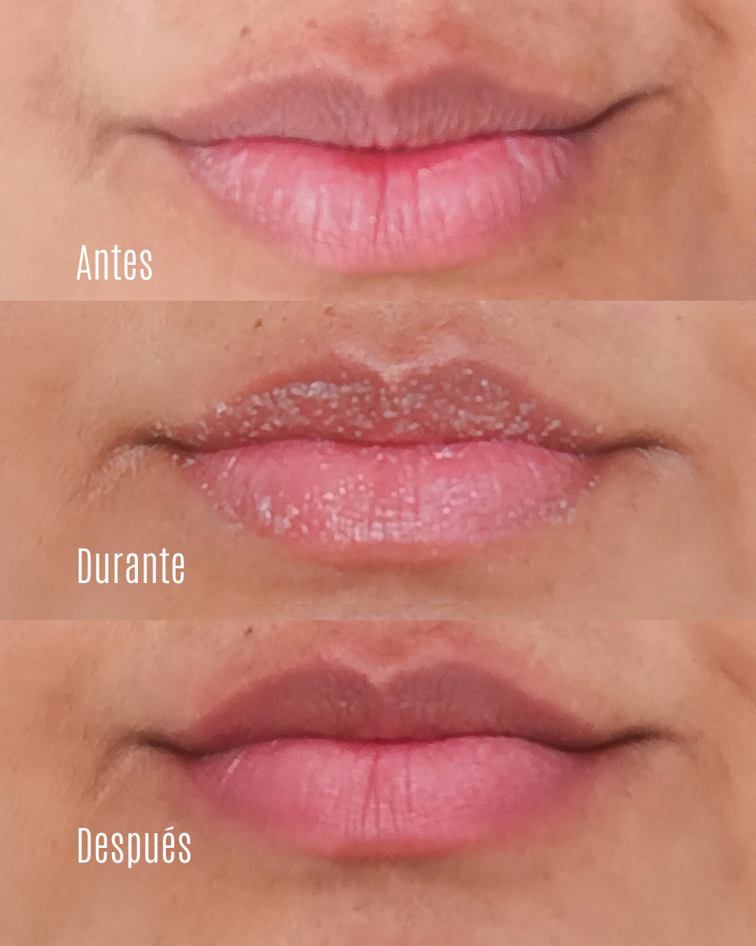 EXFOLIANTE DE LABIOS LIPSCRUB 28 ml