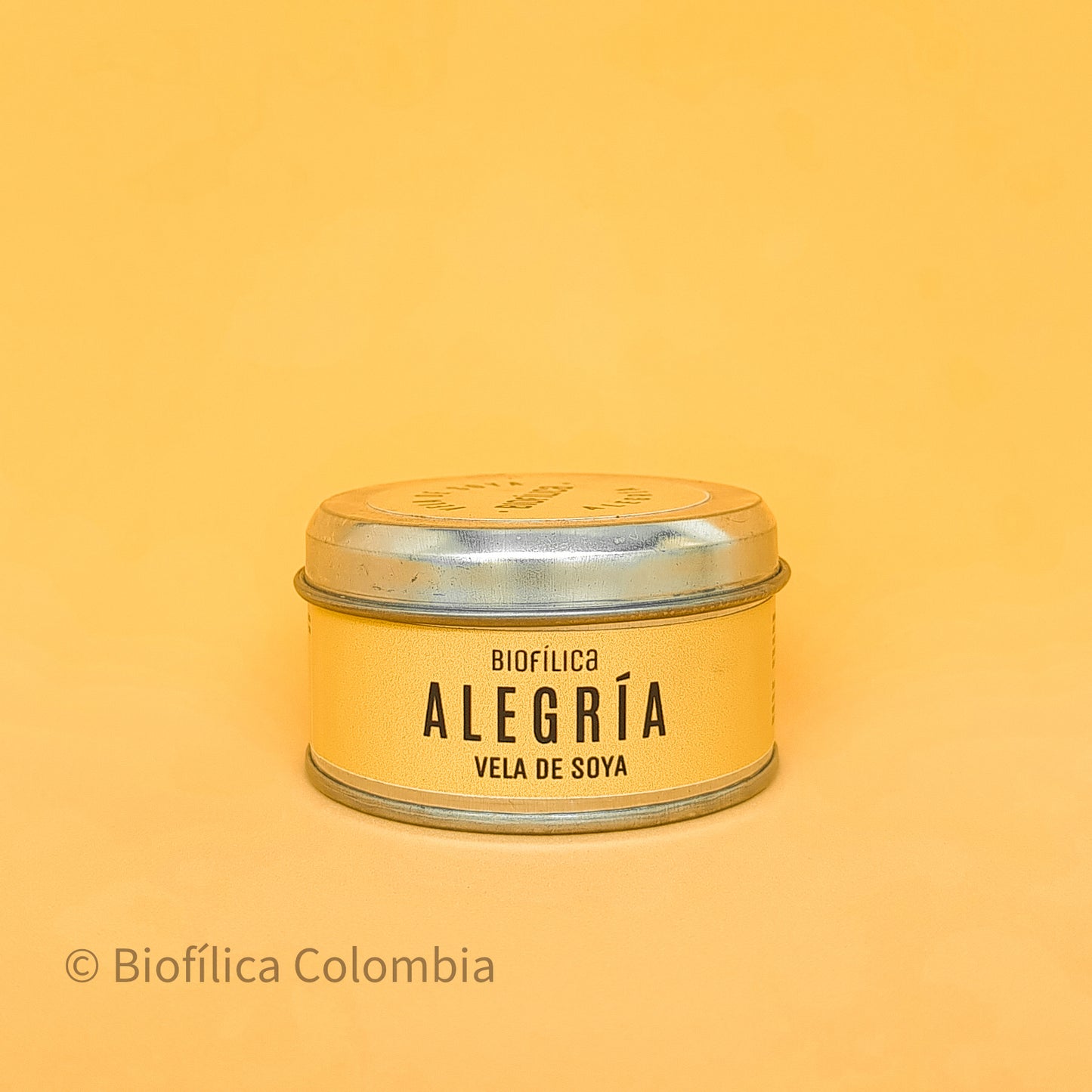 VELA DE CERA VEGETAL ALEGRÍA 80 g