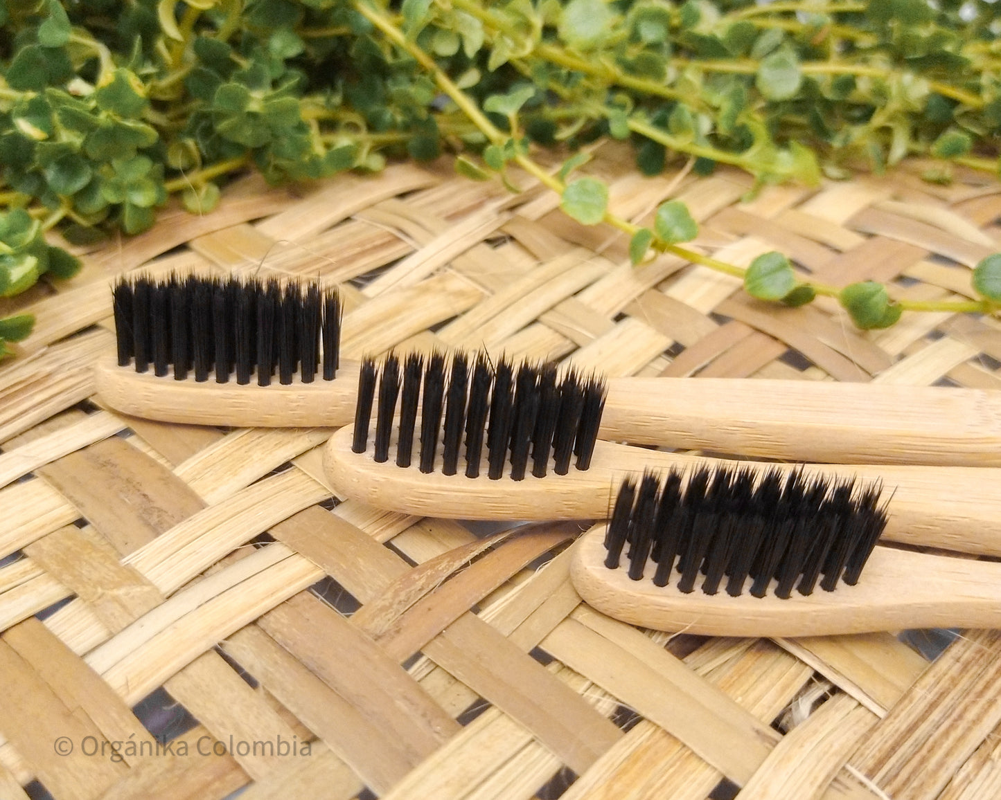 KIT 3 CEPILLOS DENTALES