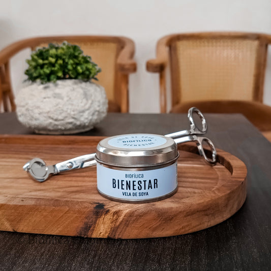 VELA DE CERA VEGETAL BIENESTAR 80 g