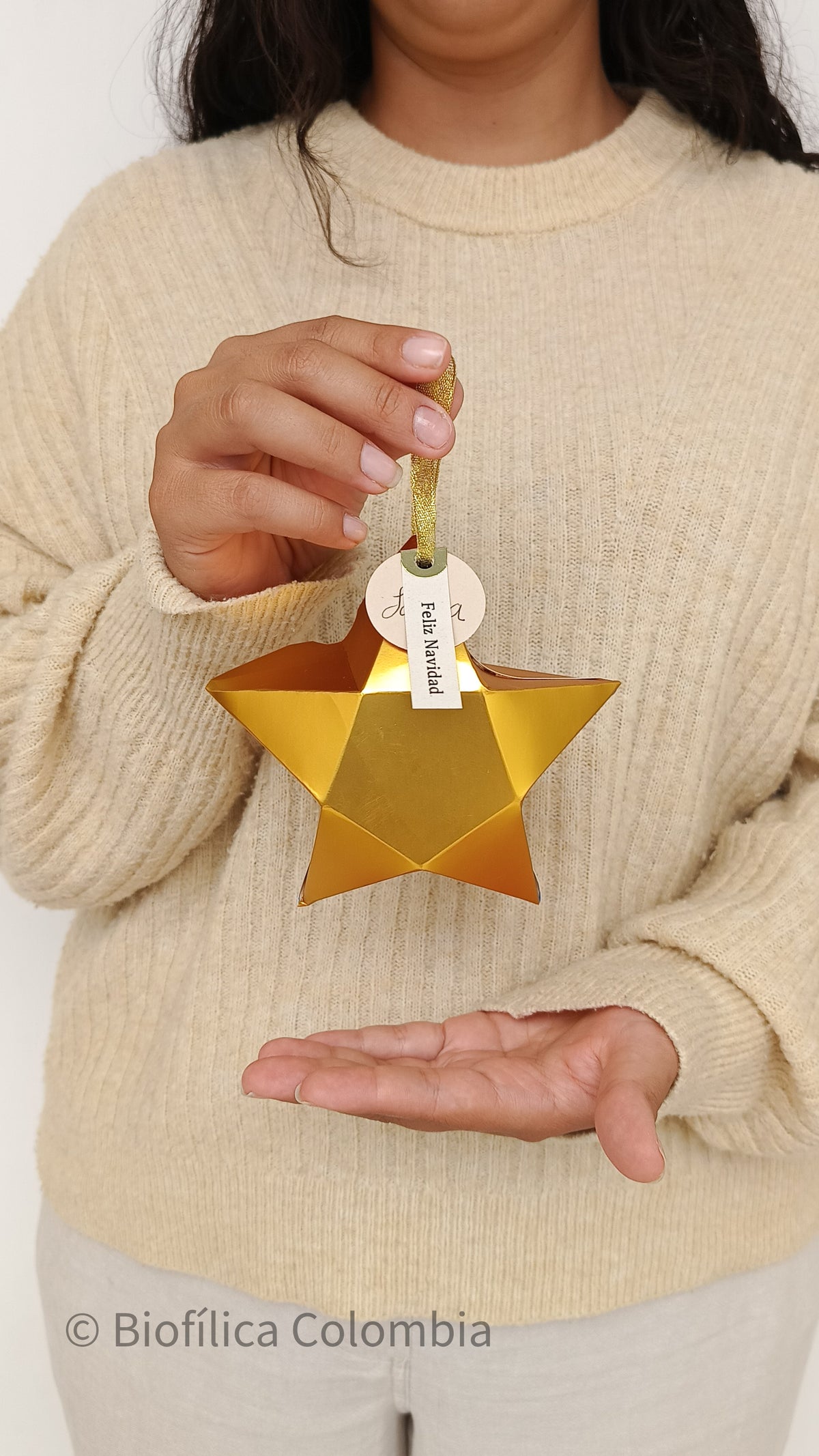 KIT ESTRELLA DE NAVIDAD - EDICIÓN LIMITADA