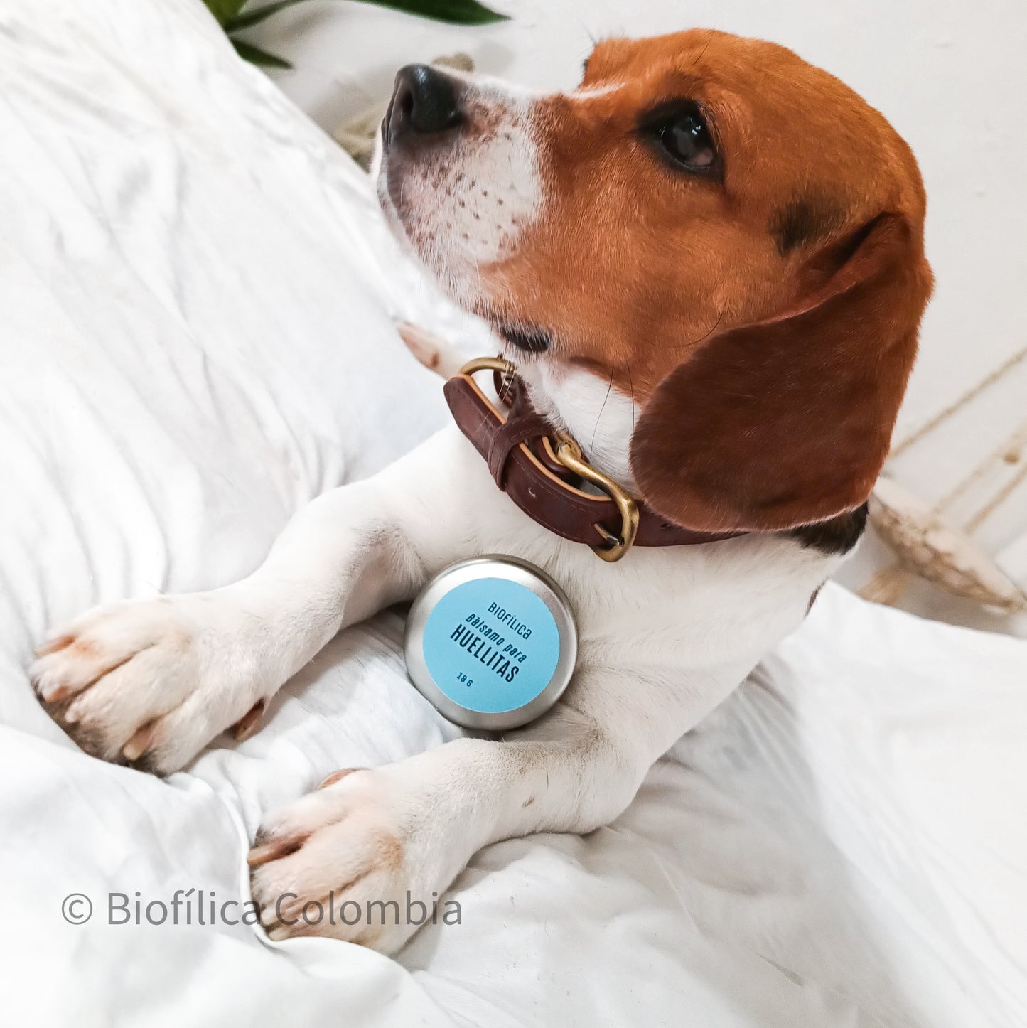 BÁLSAMO PARA HUELLITAS - HIDRATANTE 18 g