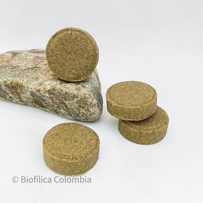 SHAMPOO/CHAMPU SÓLIDO 70g