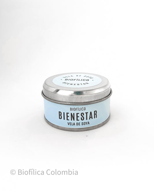 VELA DE CERA VEGETAL BIENESTAR 80 g