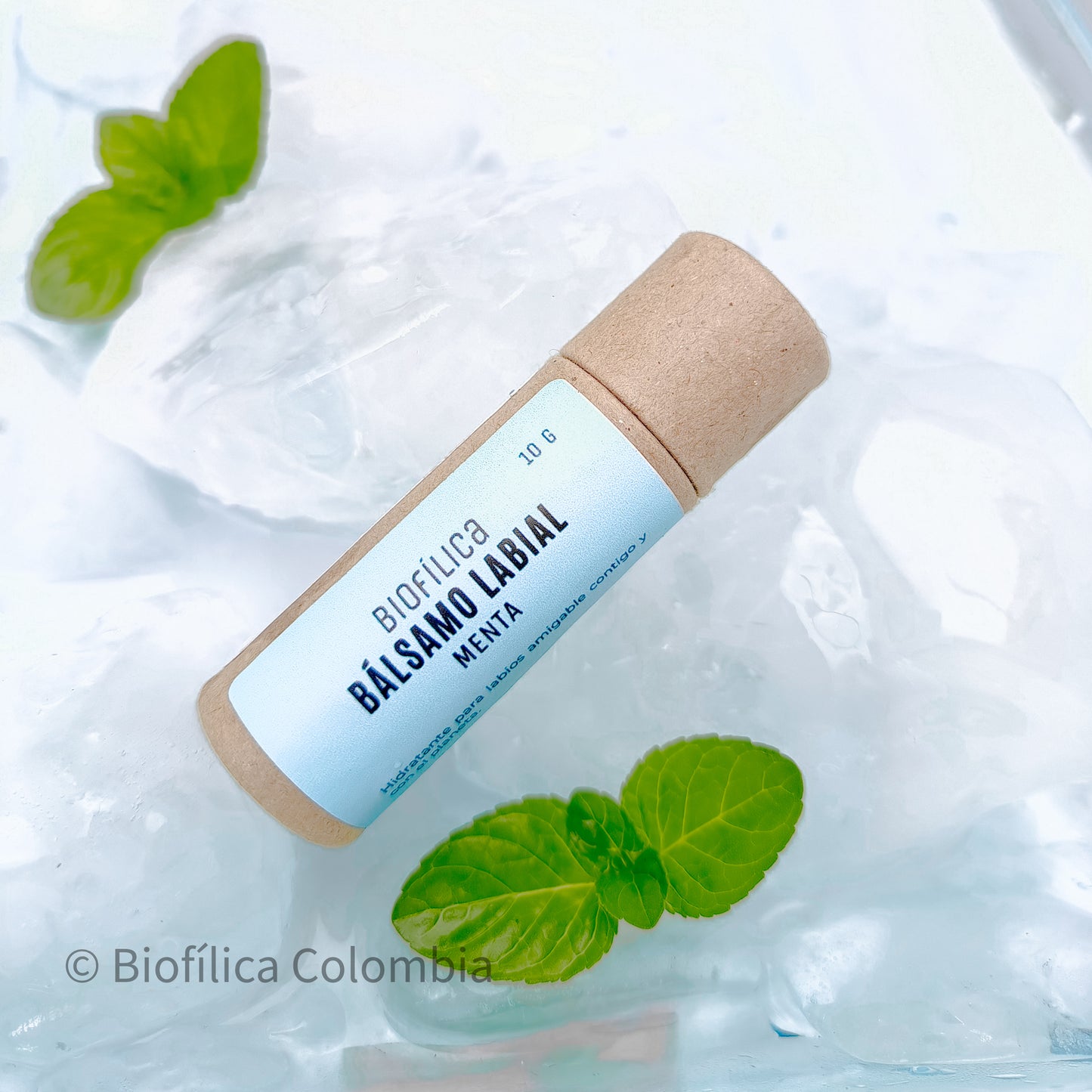 HIDRATANTE PARA LABIOS 10g